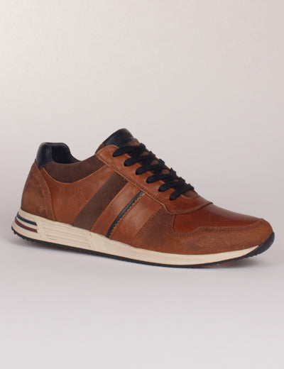 Lloyd & Pryce Boffelli Casual Shoes Brown