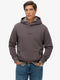 Superdry Micro Logo Hoodie Grey